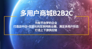 广州商城小程序定制费用是多少?